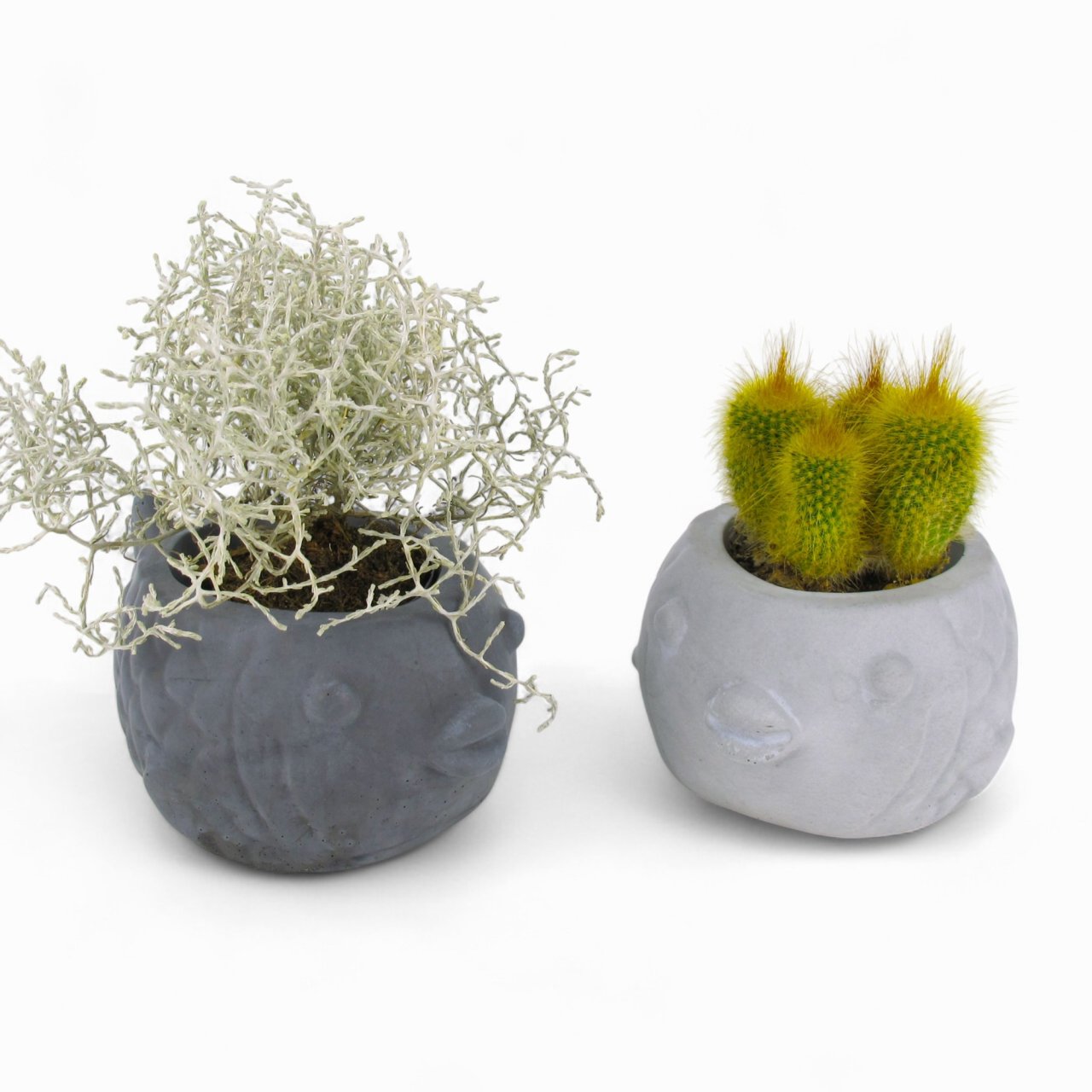 Uvis | Kugelfisch aus Beton