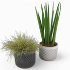 Tuvag | Blumentopf Ø=14cm aus Beton