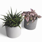 Kvety | Blumentopf Ø=12cm aus Beton