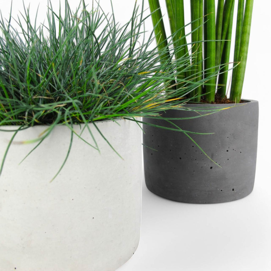 Maceta | Blumentopf Ø=15cm aus Beton