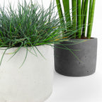 Maceta | Blumentopf Ø=15cm aus Beton