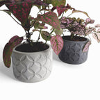Olla | Blumentopf Ø=10cm aus Beton